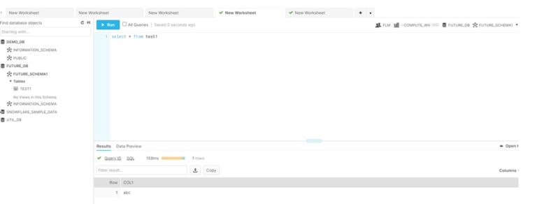 FUTURE GRANTS ON A SNOWFLAKE DATABASE visual data 8