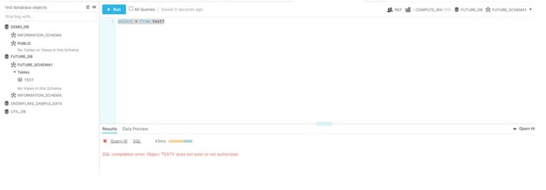 SNOWFLAKE SHOW FUTURE GRANTS visual data 7