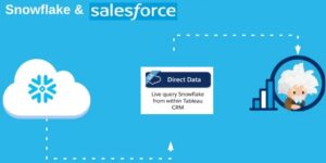 Salesforce to Snowflake : Direct Connector