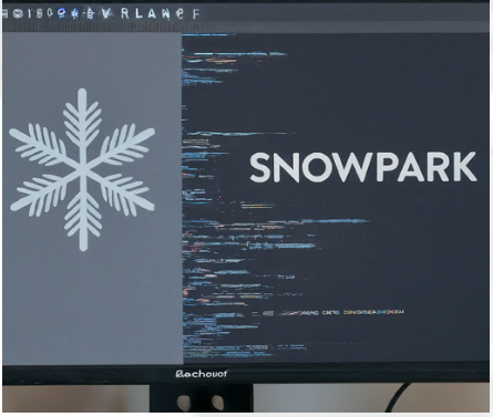 Enhancing Customer Insights with Snowflake and Snowpark