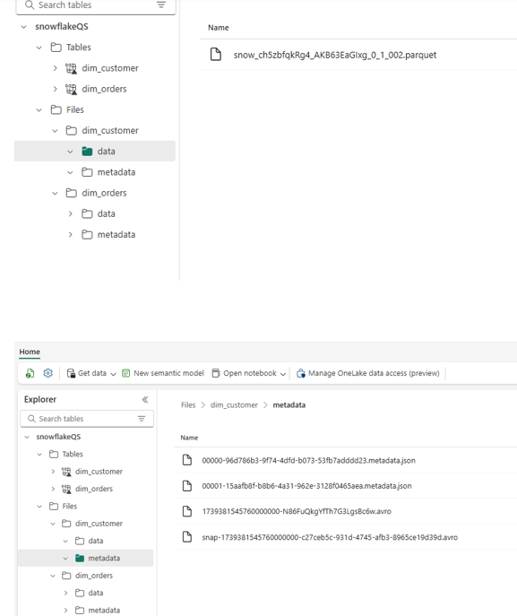 Data_Metadata Details